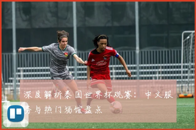 深度解析泰国世界杯观赛:中文服务与热门场馆盘点