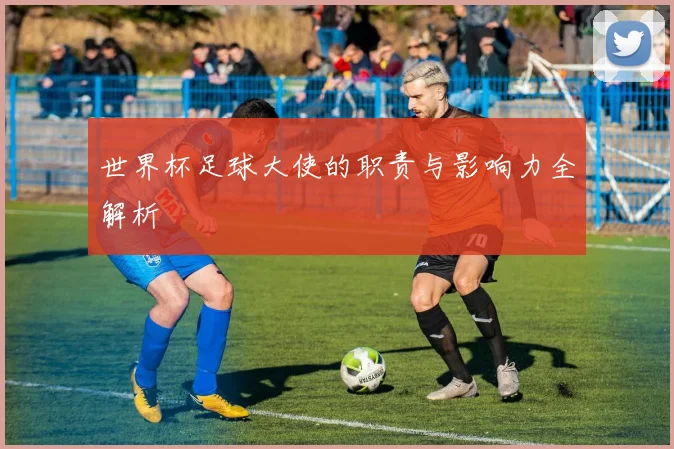 世界杯足球大使的职责与影响力全解析