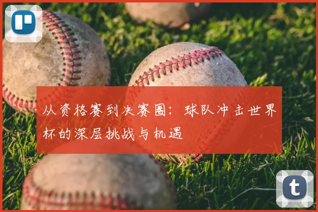 从资格赛到决赛圈：球队冲击世界杯的深层挑战与机遇